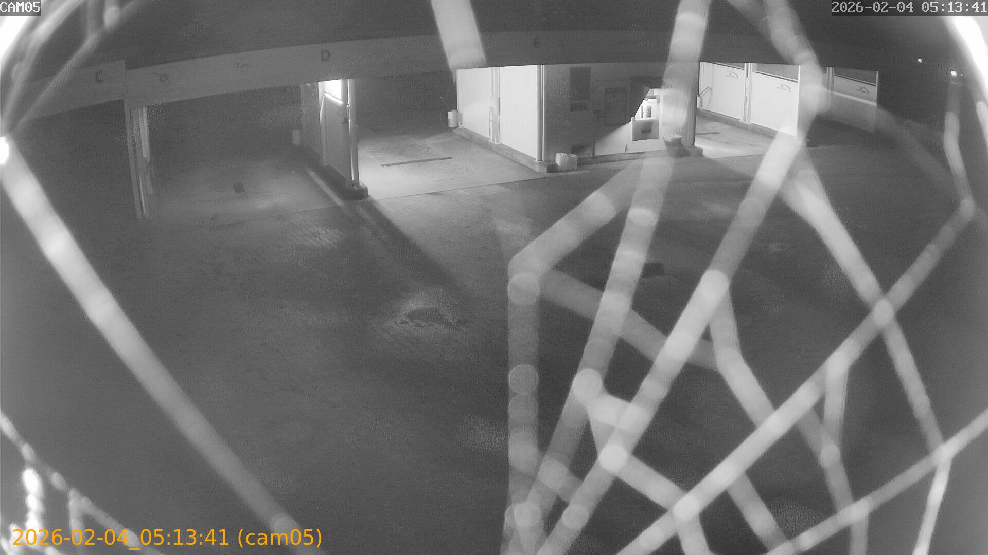 thumbnail_20260204051341