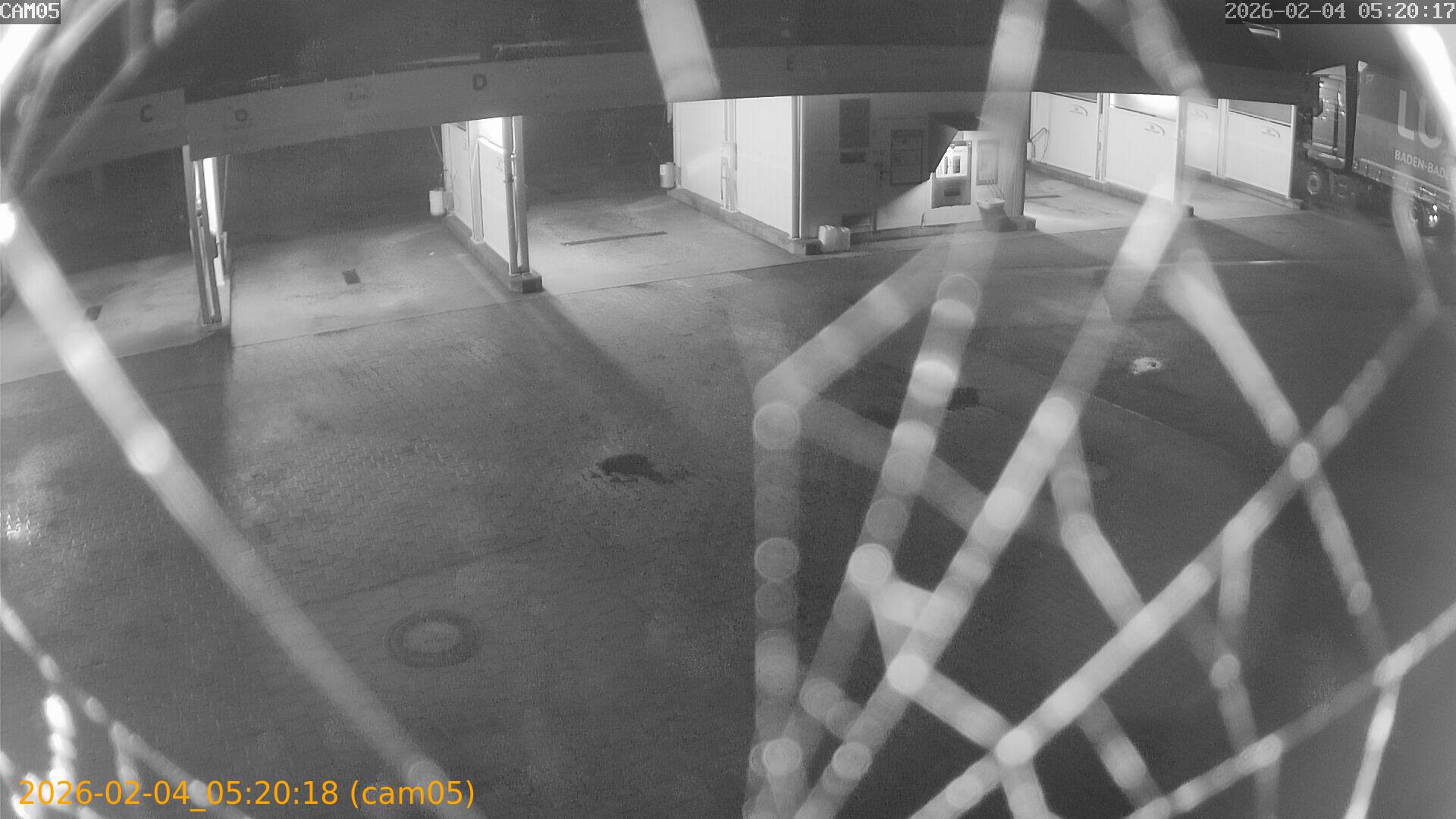 thumbnail_20260204052018