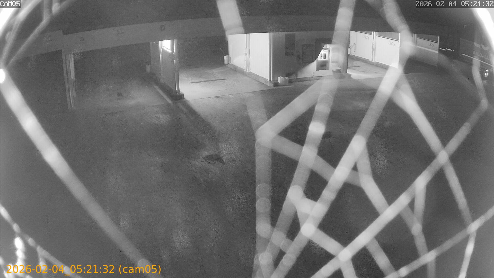 thumbnail_20260204052132