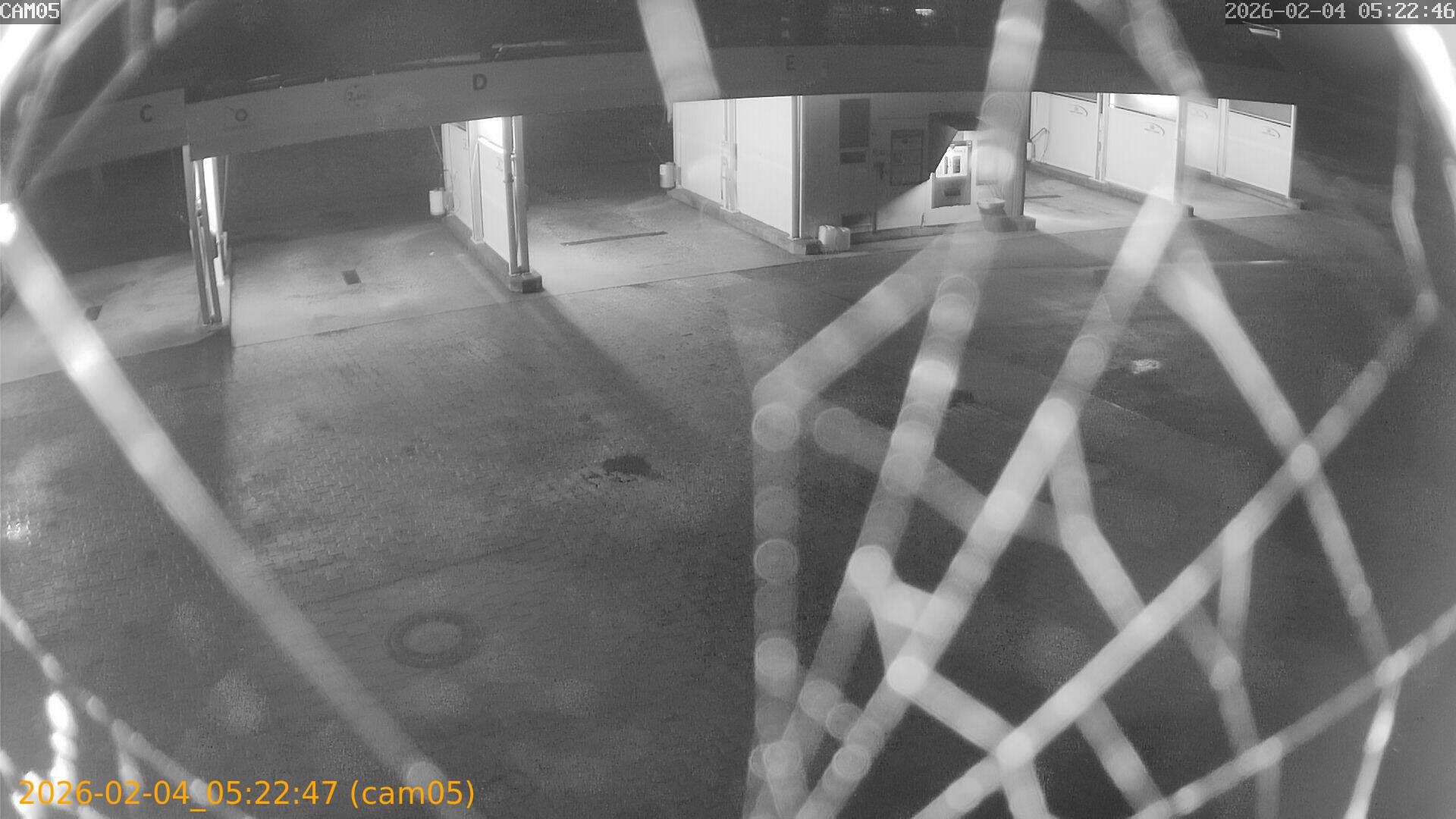 thumbnail_20260204052247