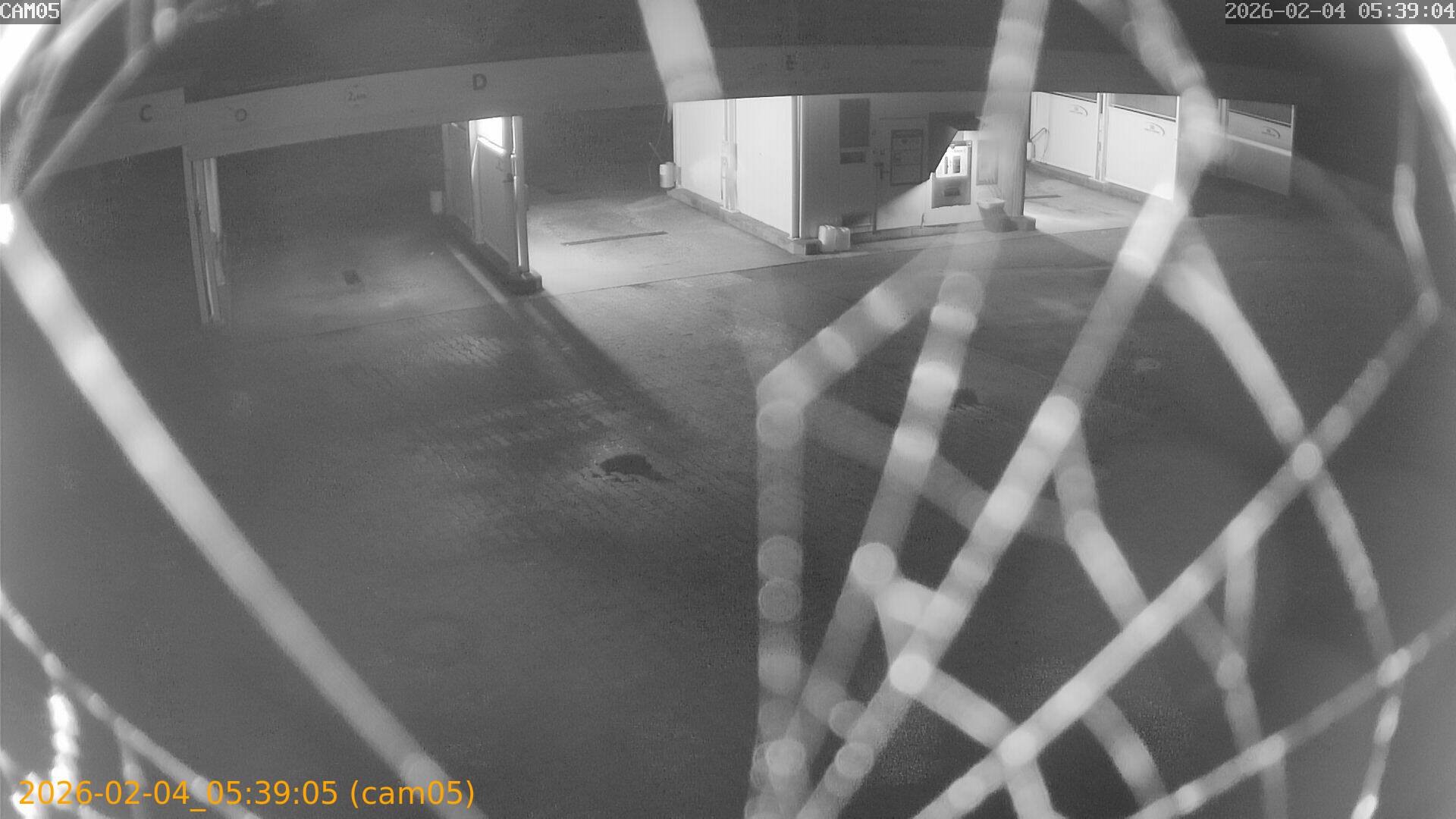 thumbnail_20260204053905