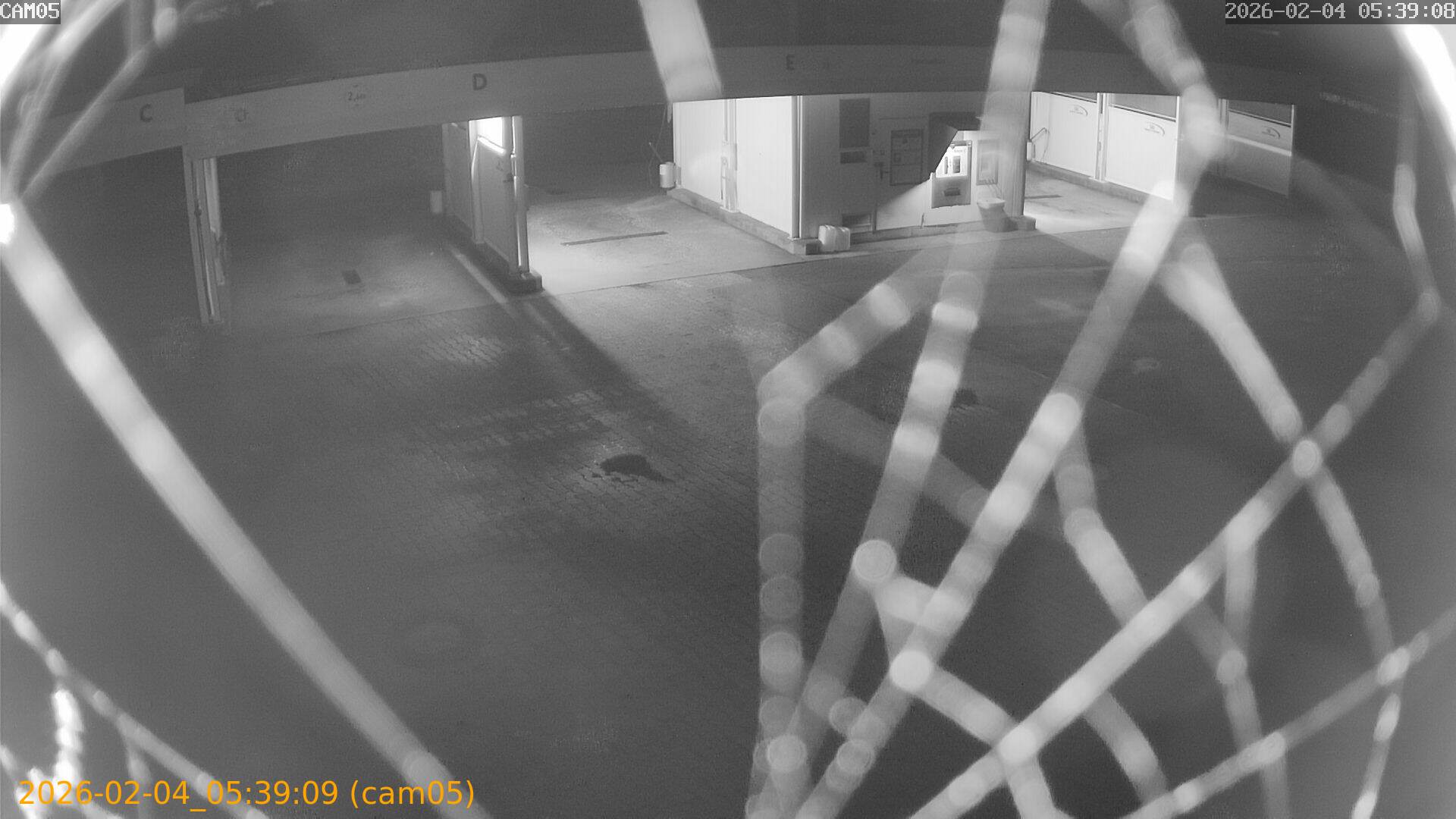 thumbnail_20260204053909