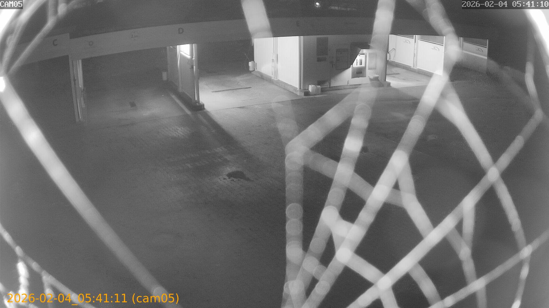 thumbnail_20260204054111