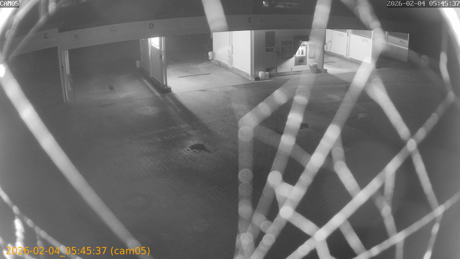 thumbnail_20260204054537