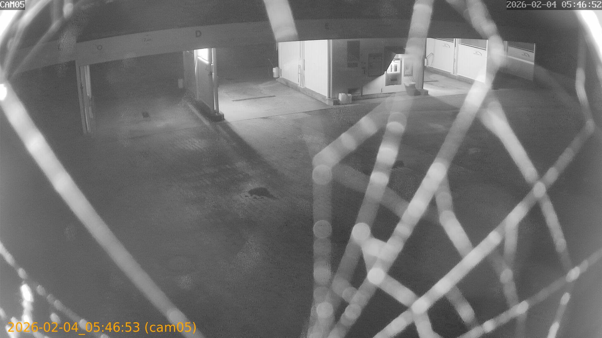 thumbnail_20260204054652