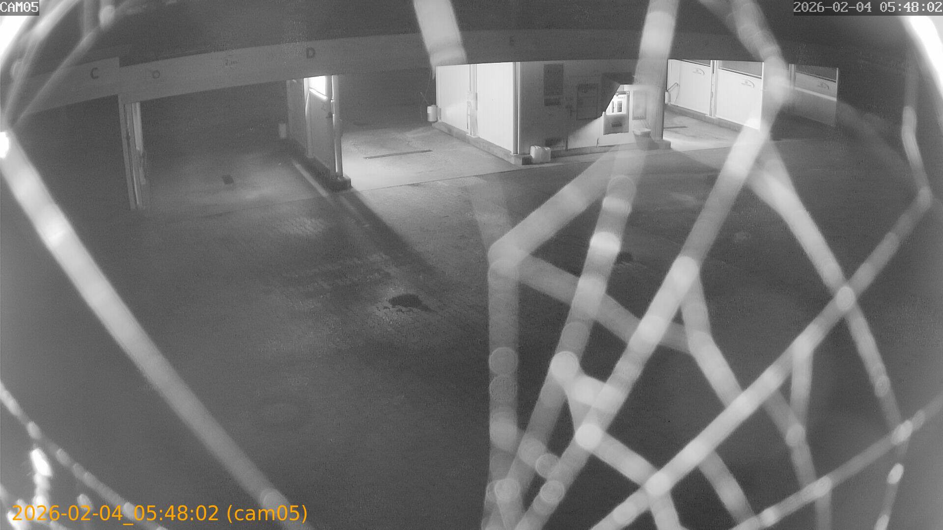 thumbnail_20260204054802