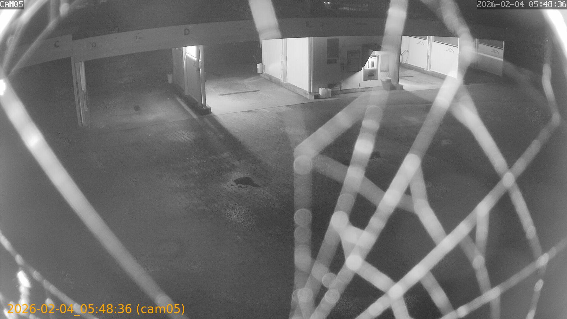 thumbnail_20260204054836