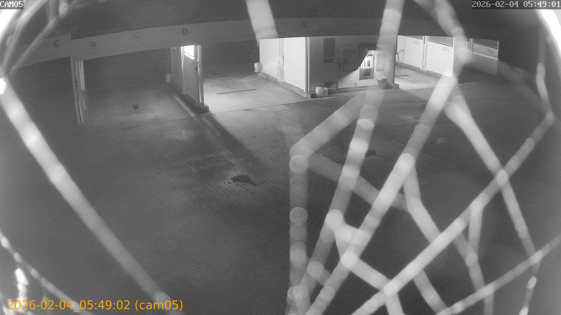 thumbnail_20260204054902