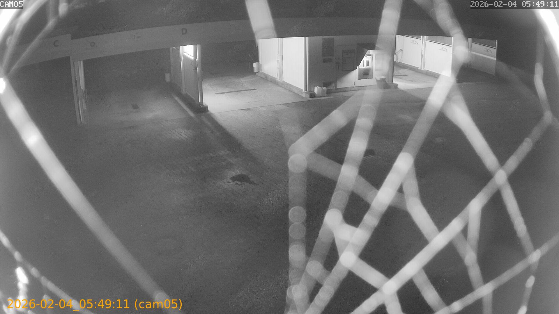 thumbnail_20260204054911