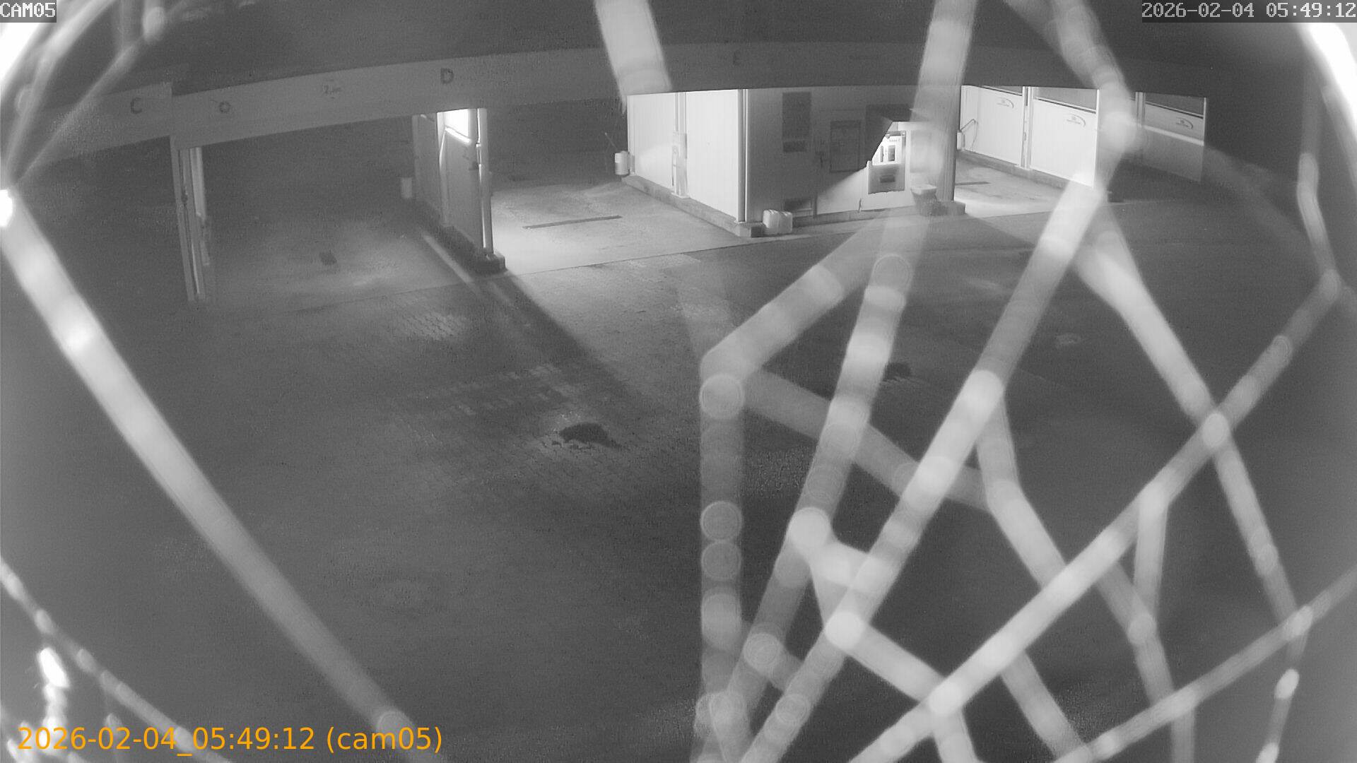 thumbnail_20260204054912