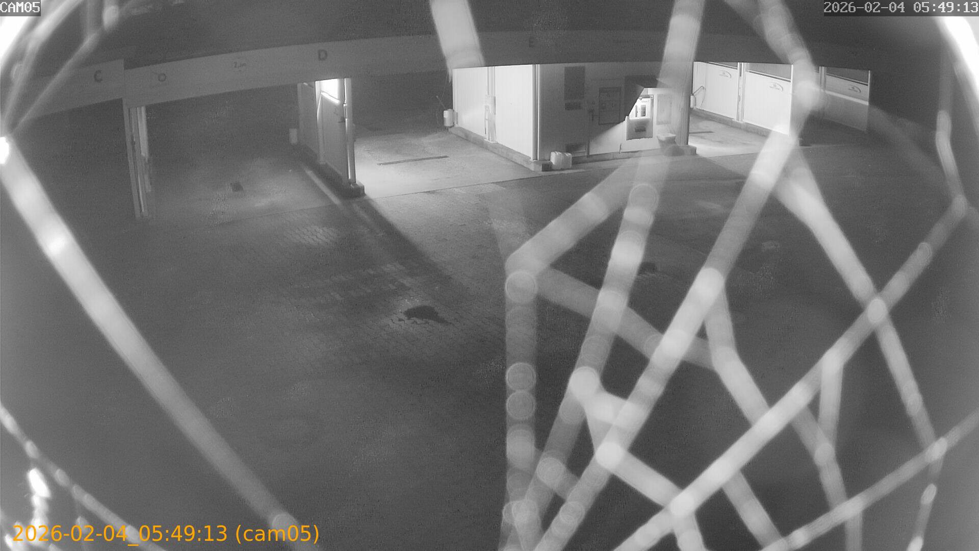 thumbnail_20260204054913