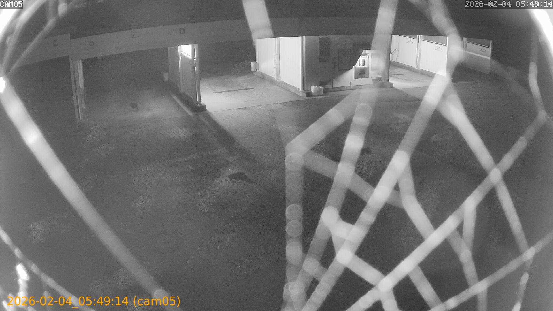 thumbnail_20260204054914