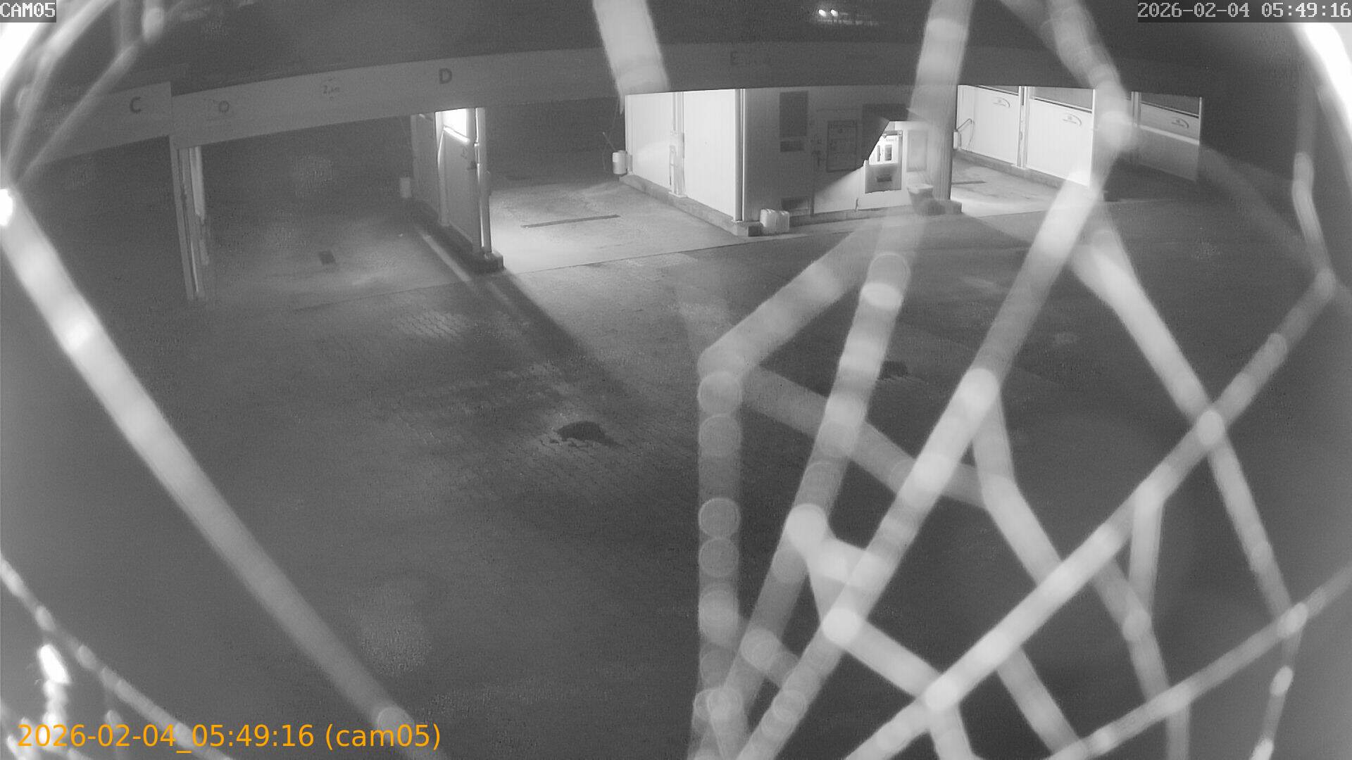 thumbnail_20260204054916