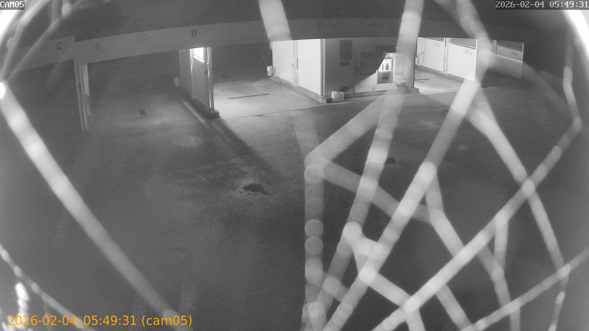 thumbnail_20260204054931