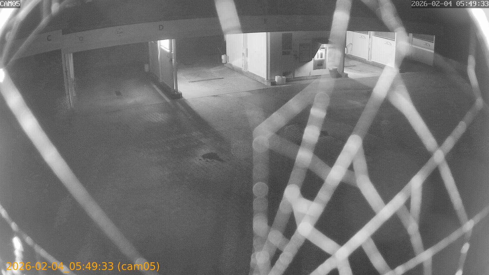 thumbnail_20260204054933