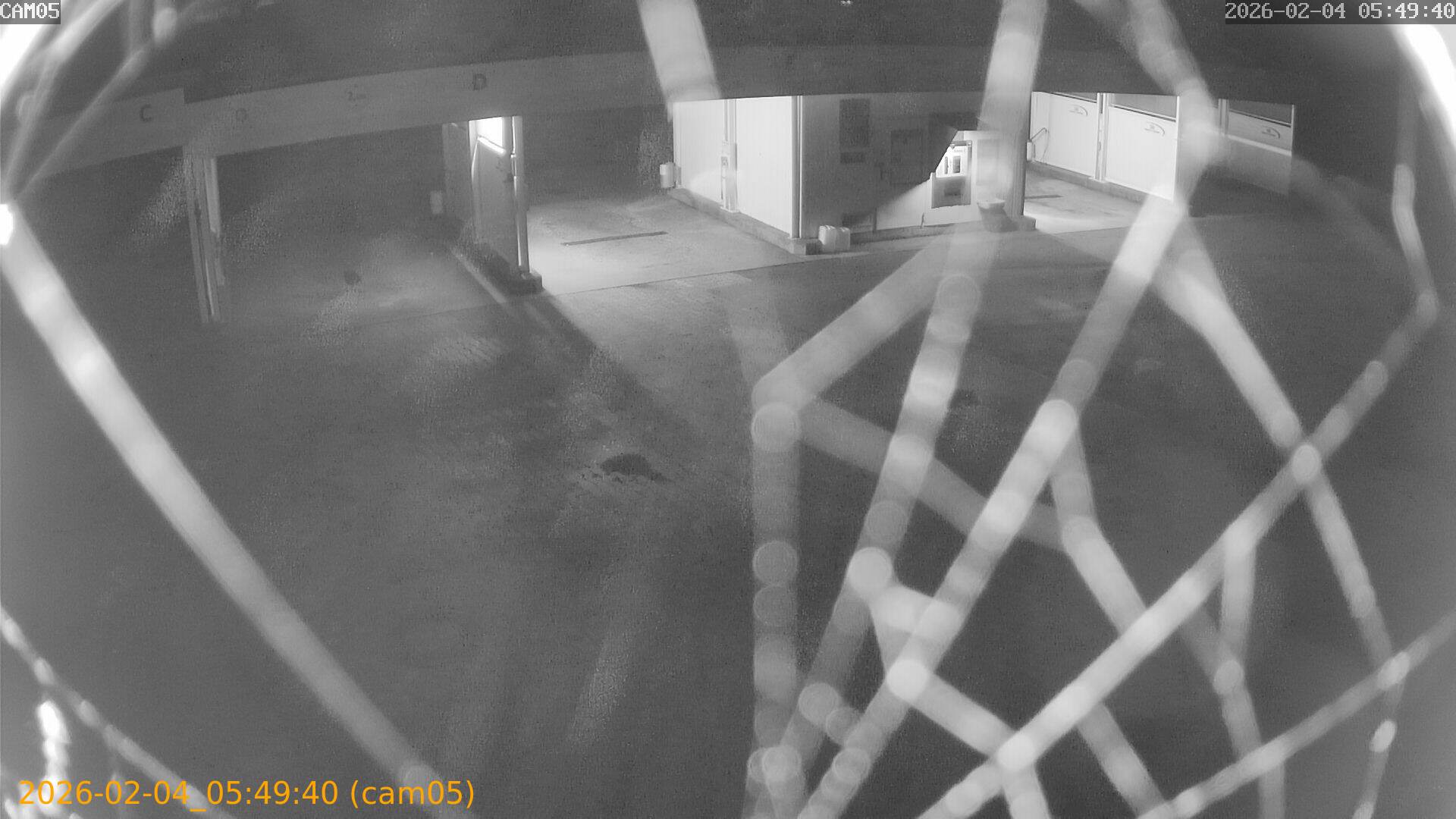 thumbnail_20260204054940