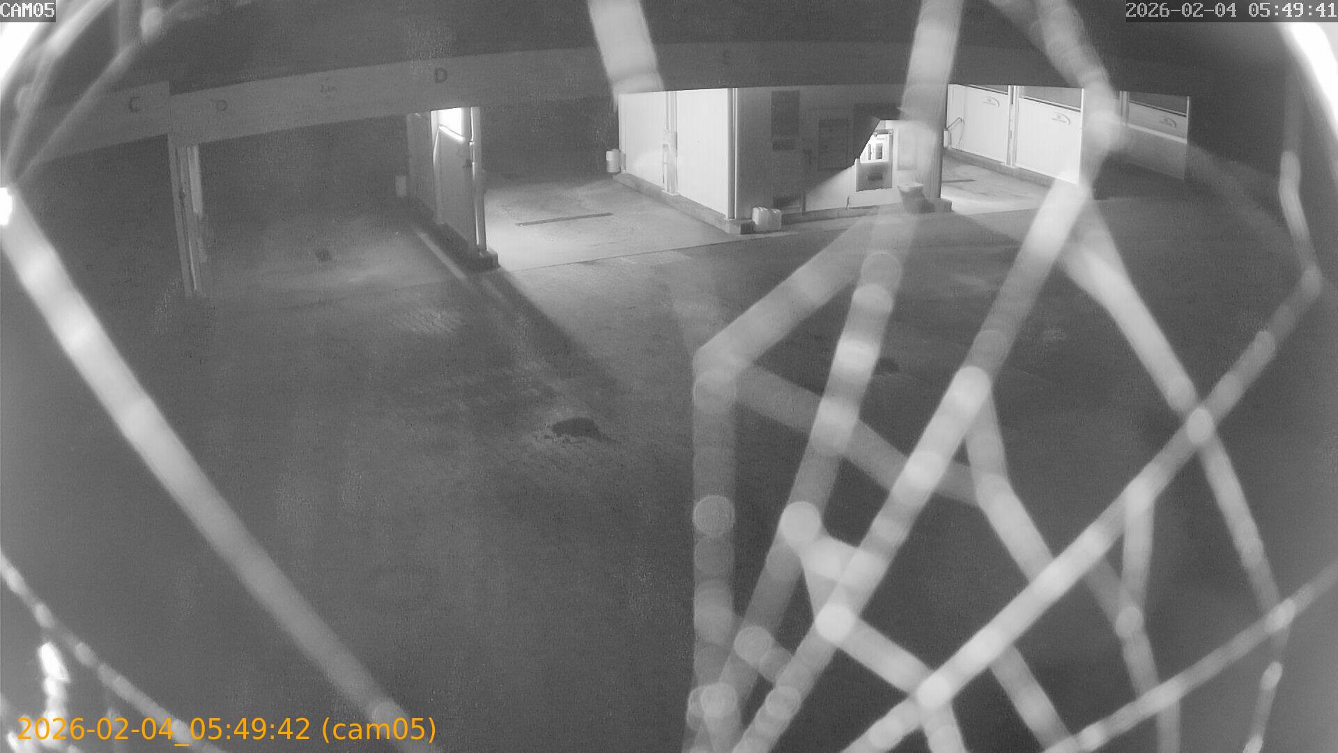 thumbnail_20260204054942