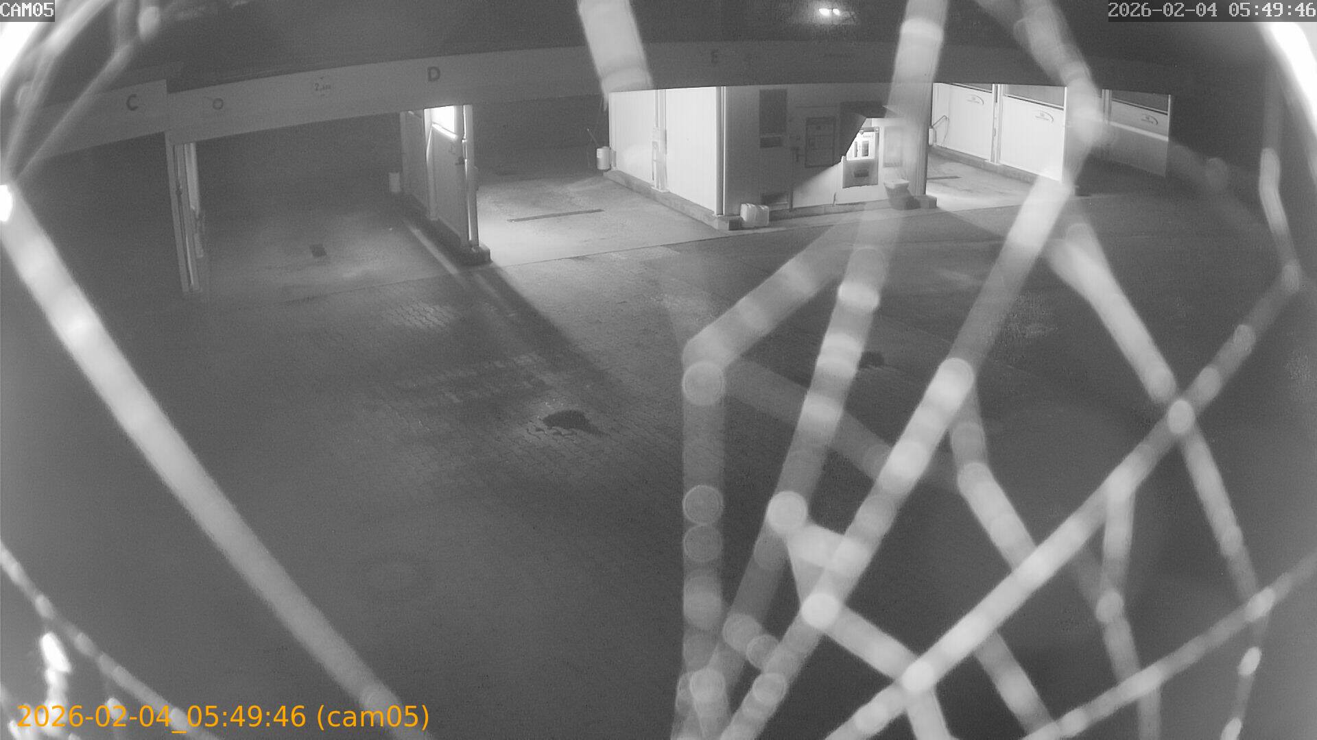 thumbnail_20260204054946