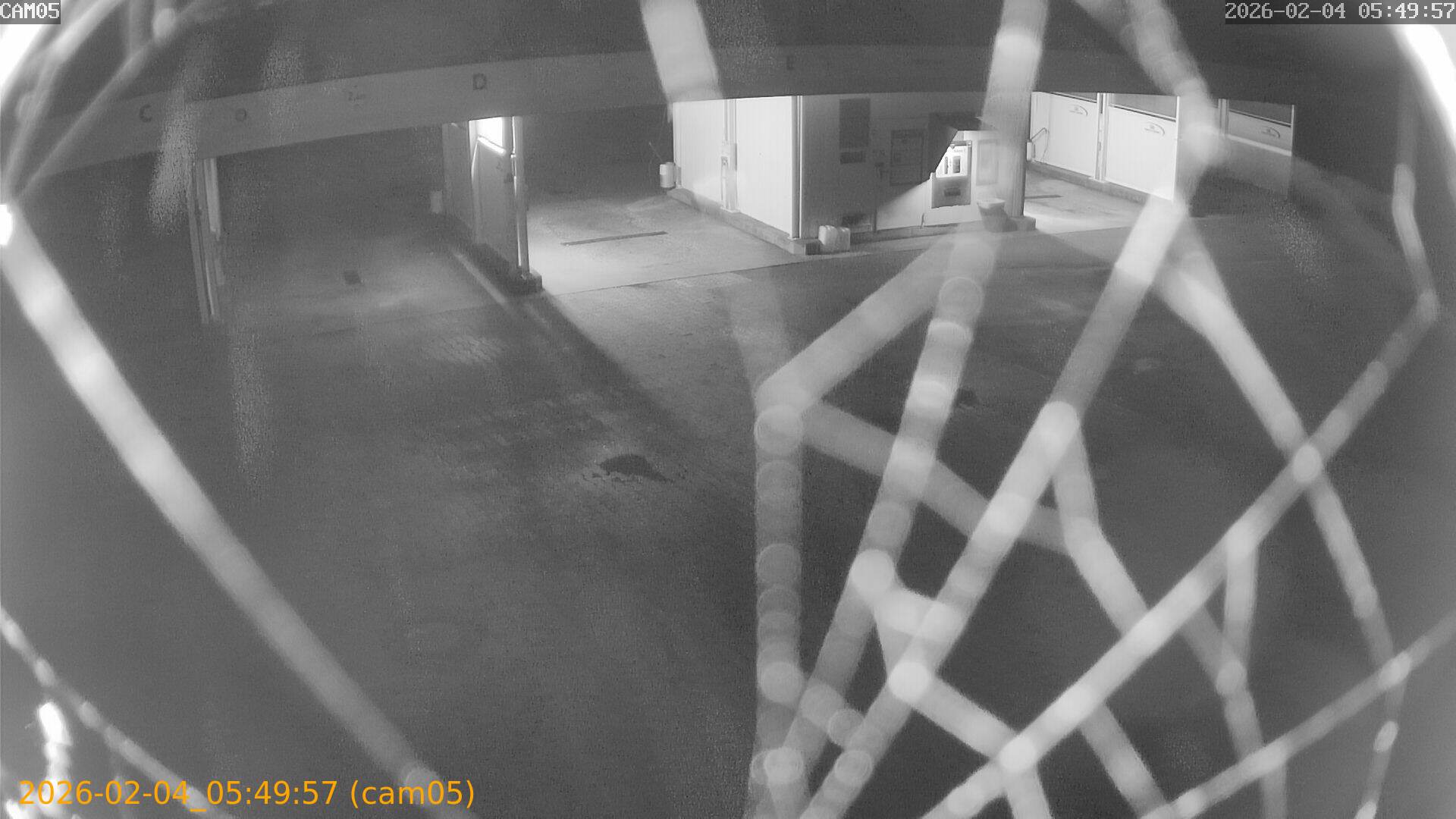 thumbnail_20260204054957