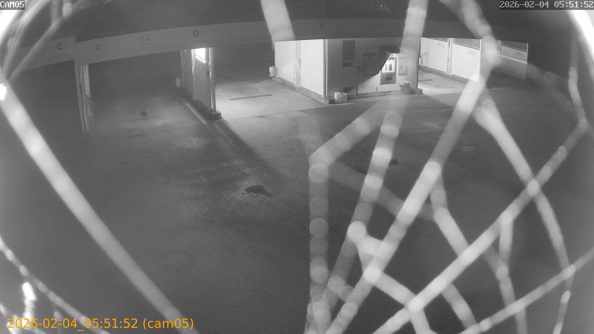 thumbnail_20260204055152