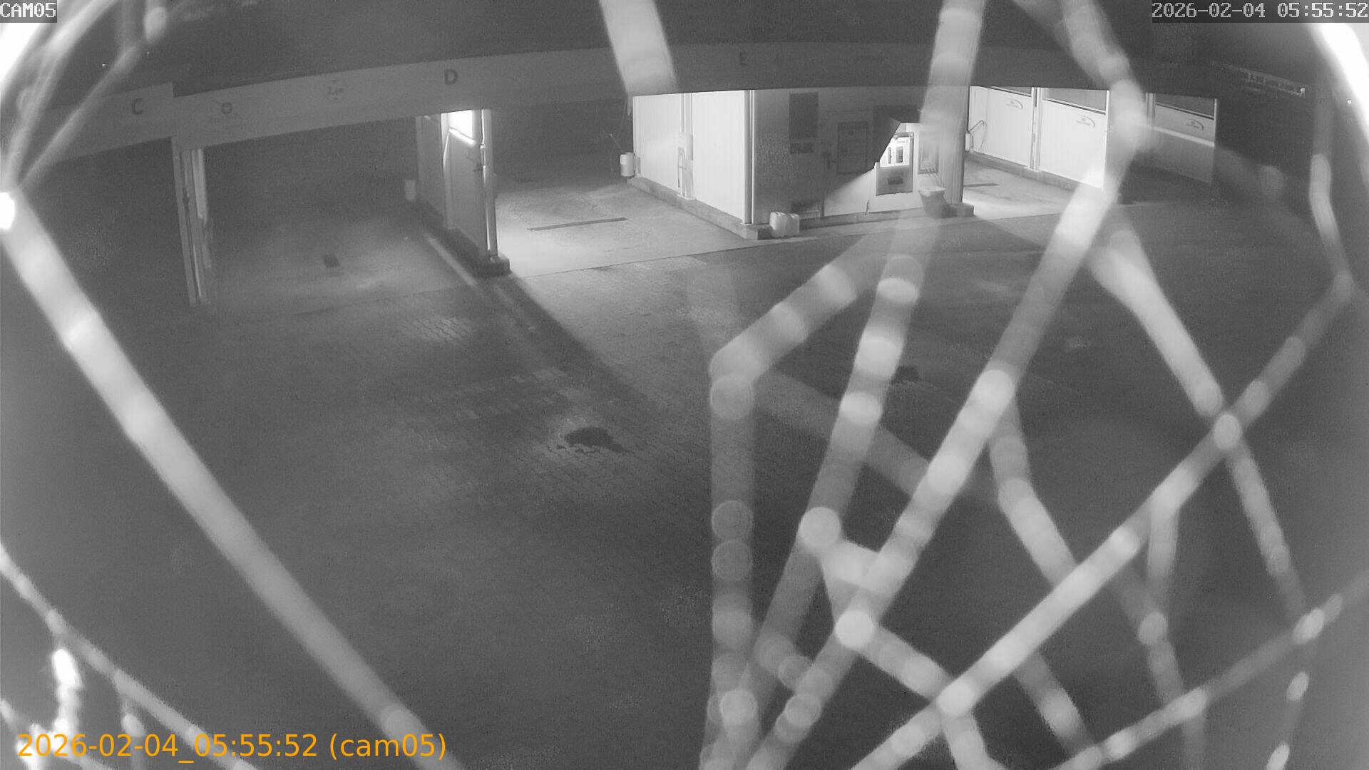 thumbnail_20260204055552