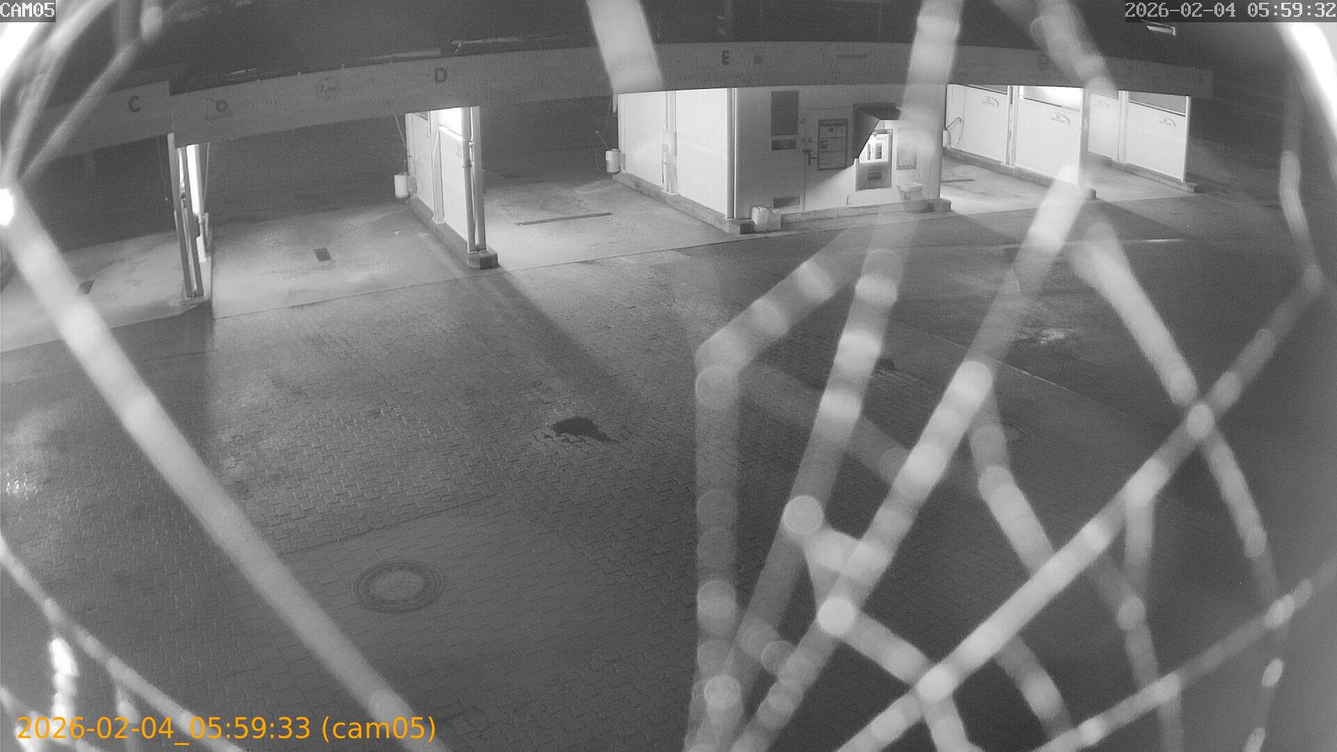 thumbnail_20260204055933