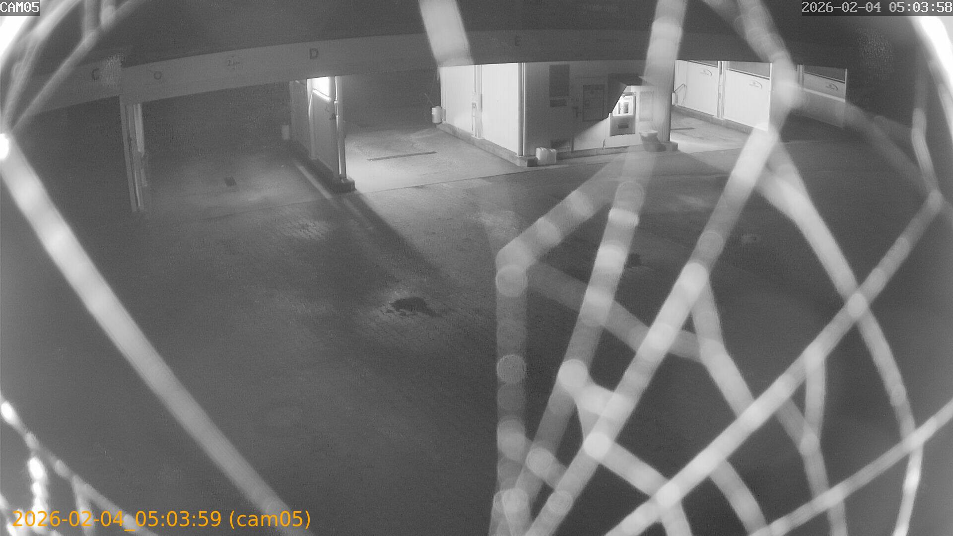 thumbnail_202602040503