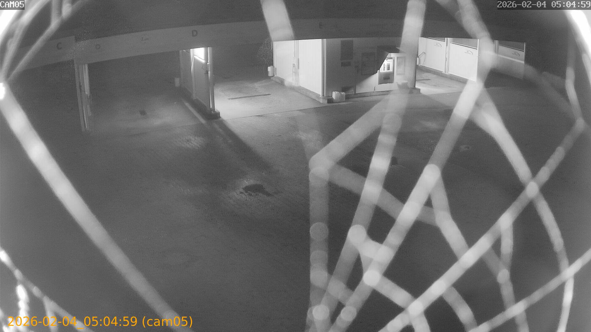 thumbnail_202602040504