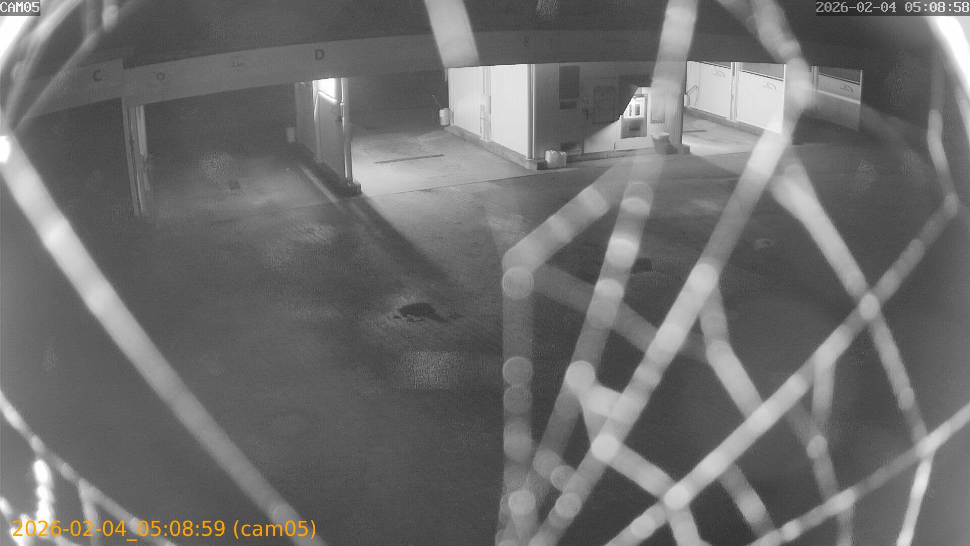 thumbnail_202602040508