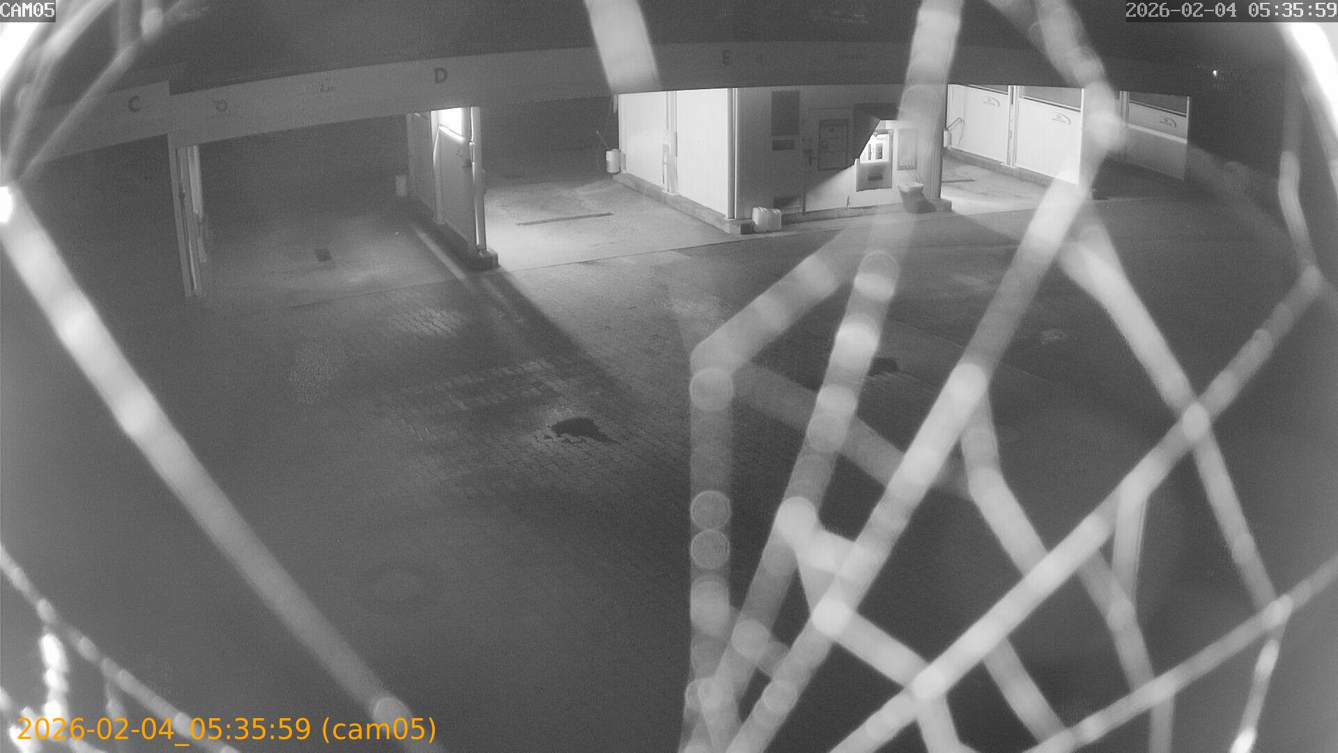 thumbnail_202602040535