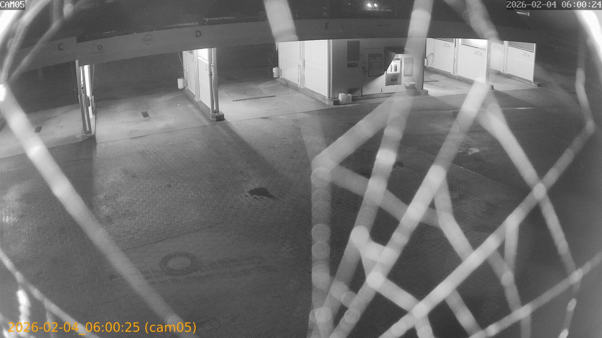 thumbnail_20260204060025