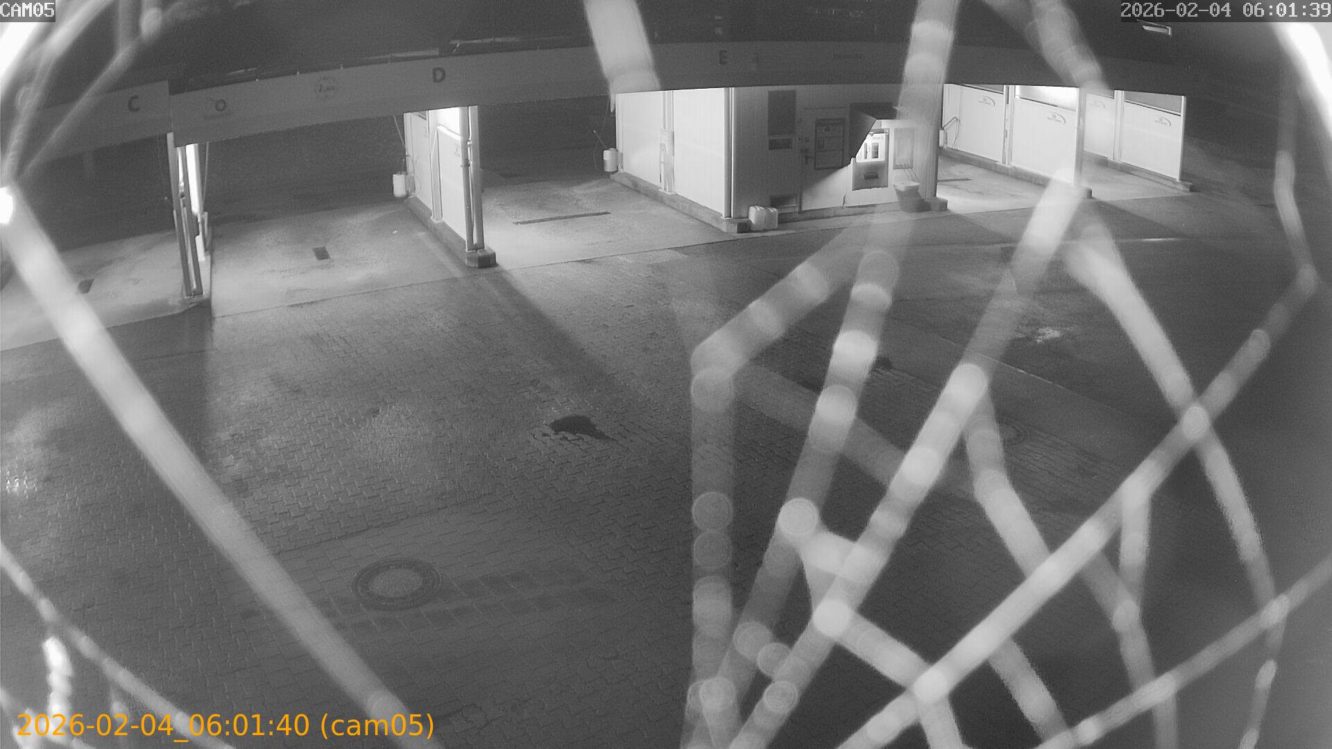 thumbnail_20260204060140