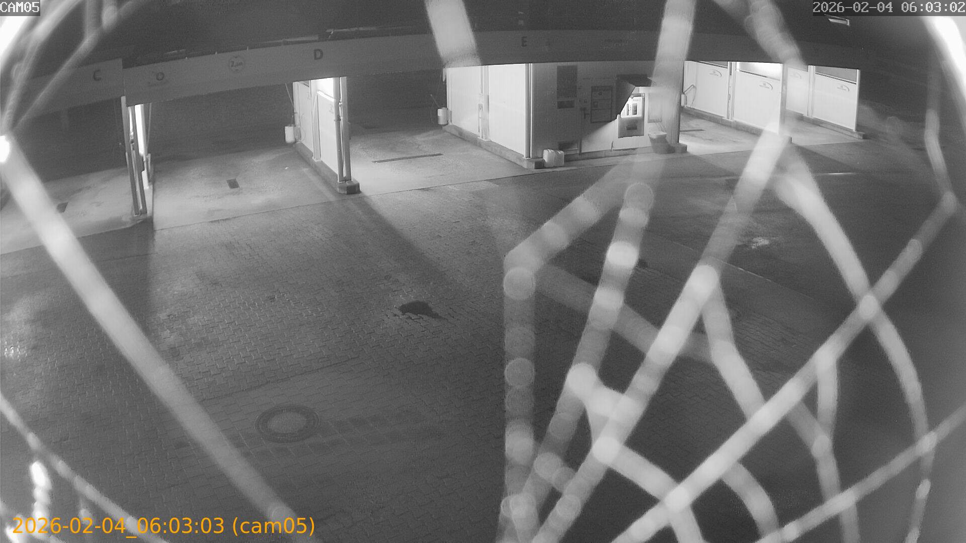 thumbnail_20260204060303