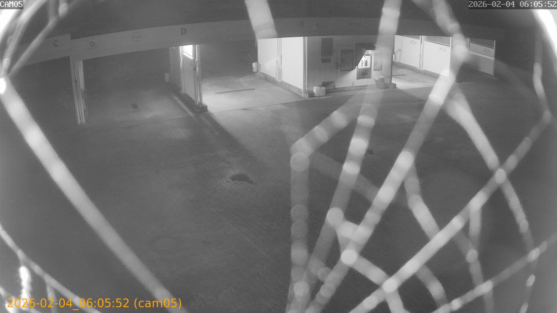 thumbnail_20260204060552