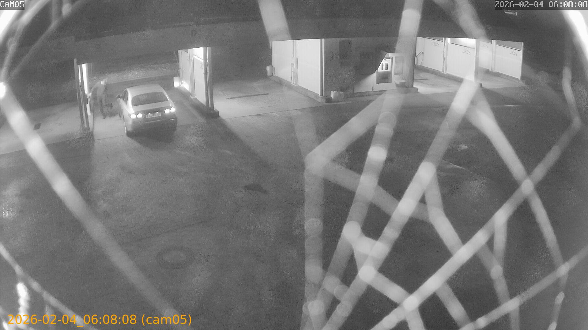 thumbnail_20260204060808