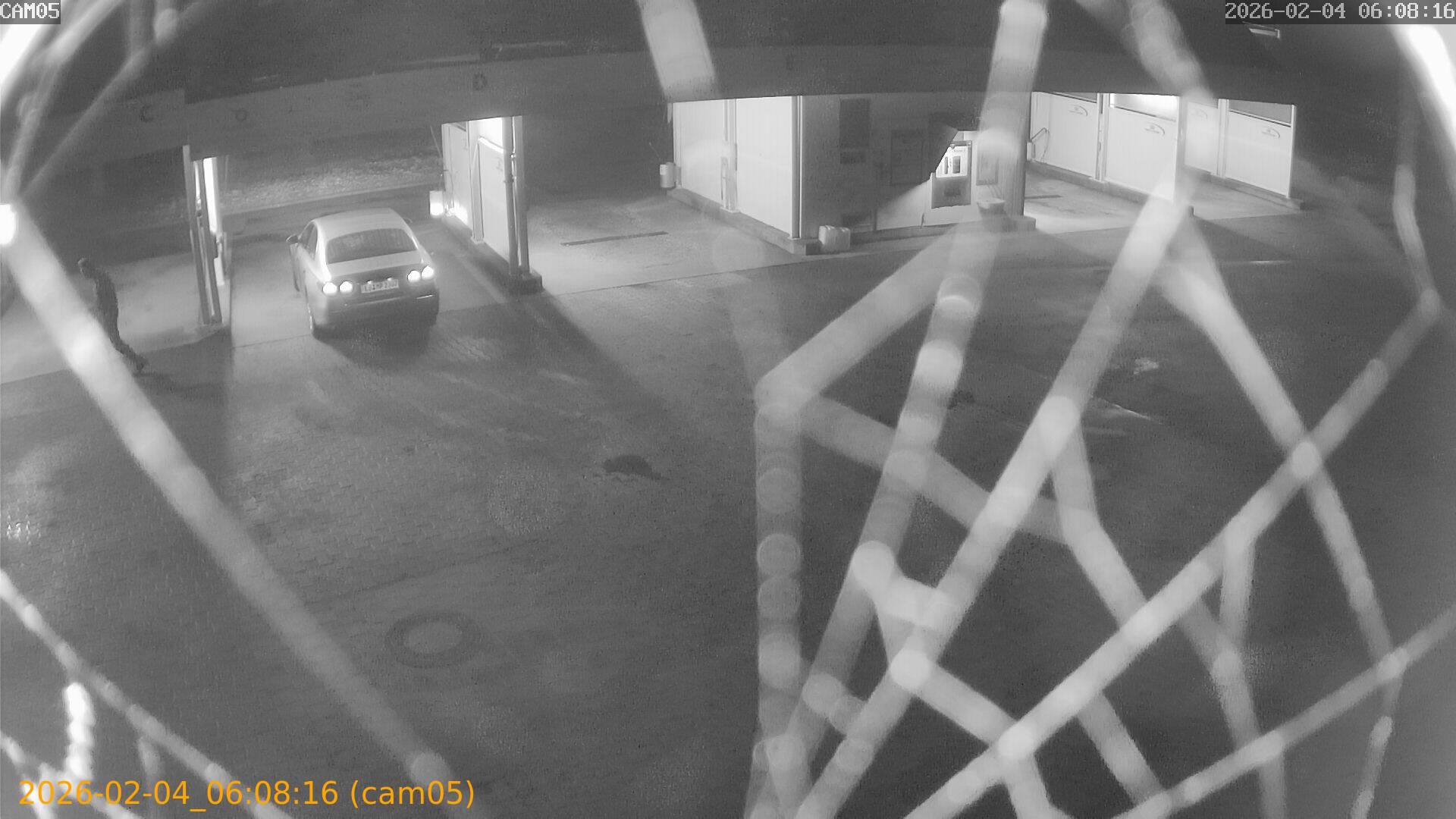 thumbnail_20260204060816