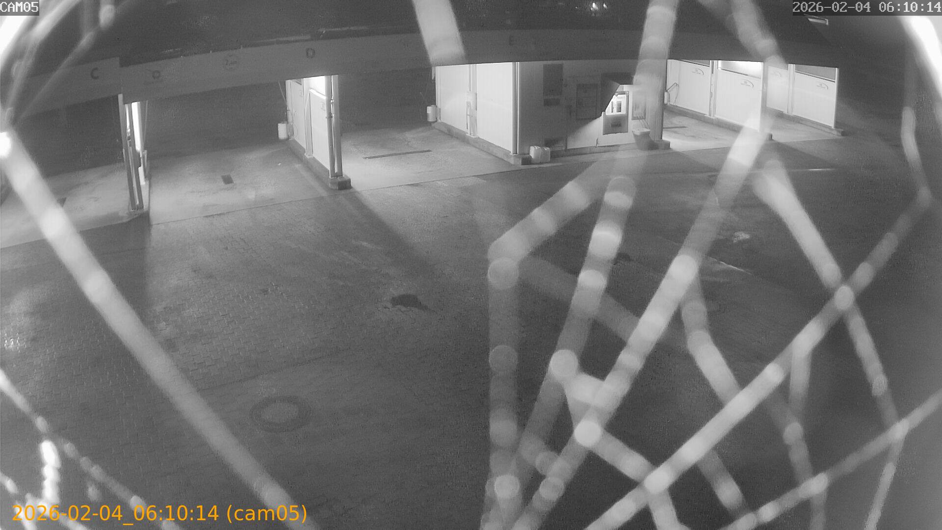 thumbnail_20260204061014