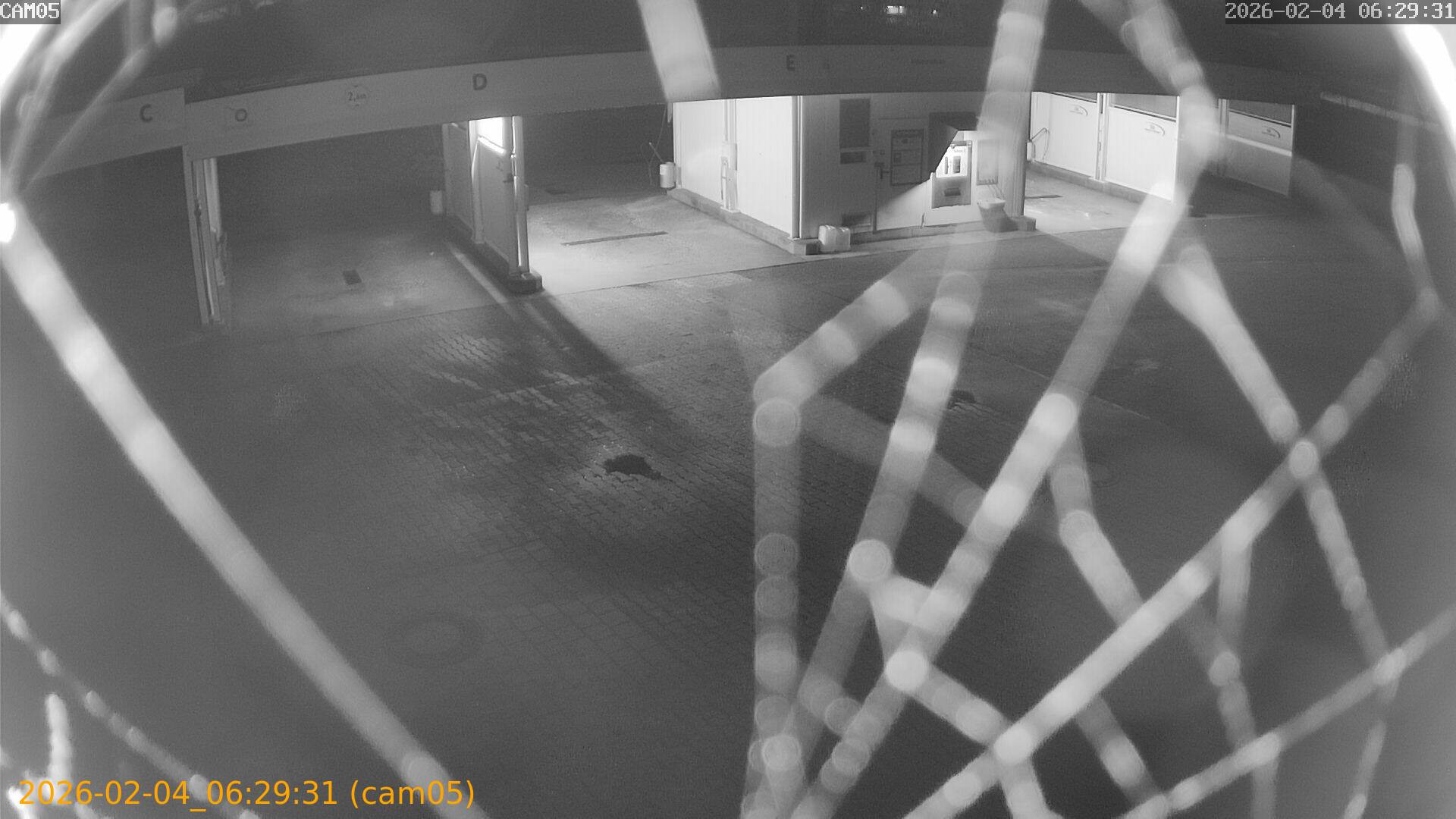 thumbnail_20260204062931