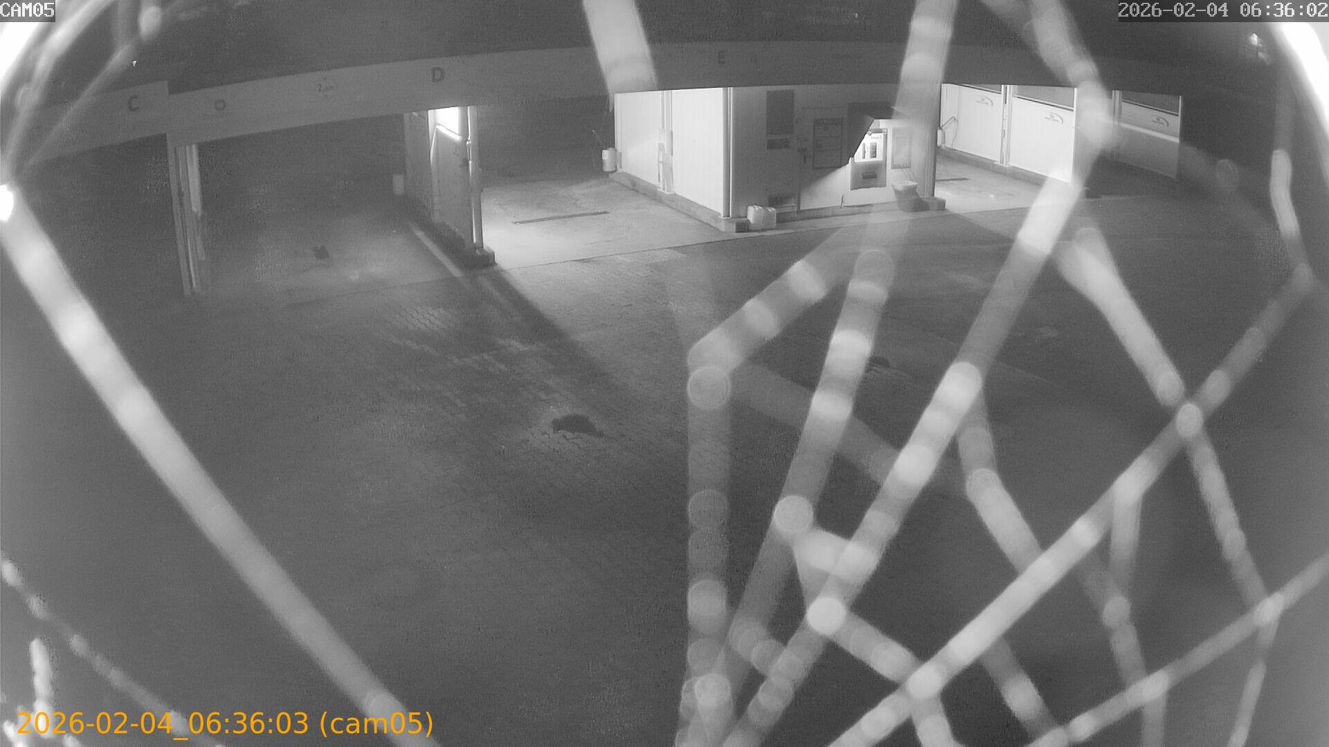 thumbnail_20260204063603