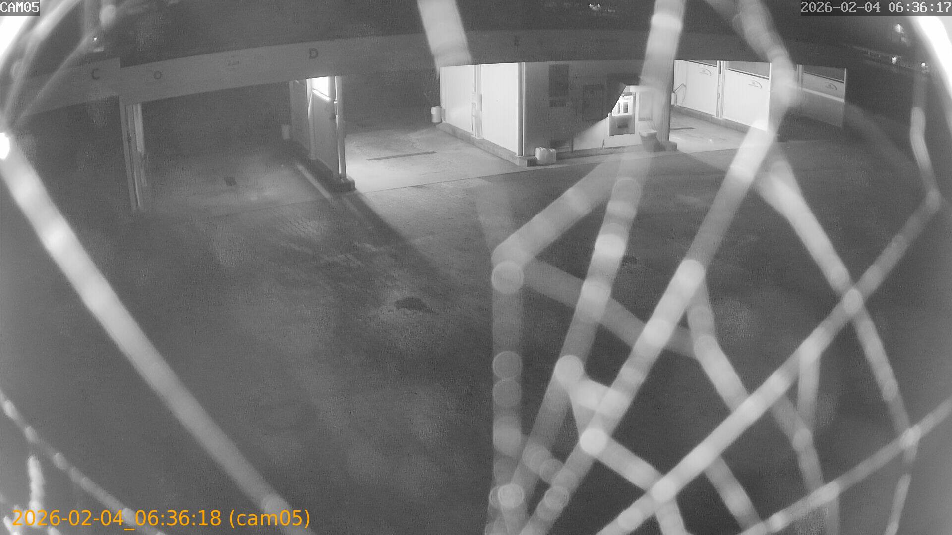 thumbnail_20260204063618