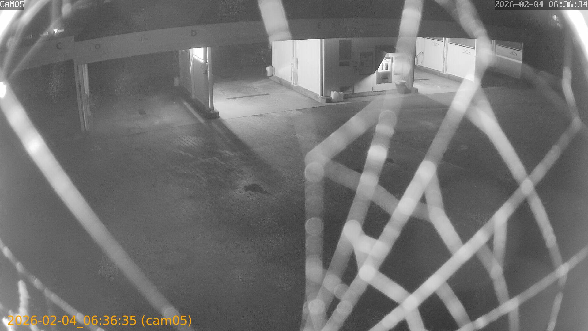 thumbnail_20260204063635