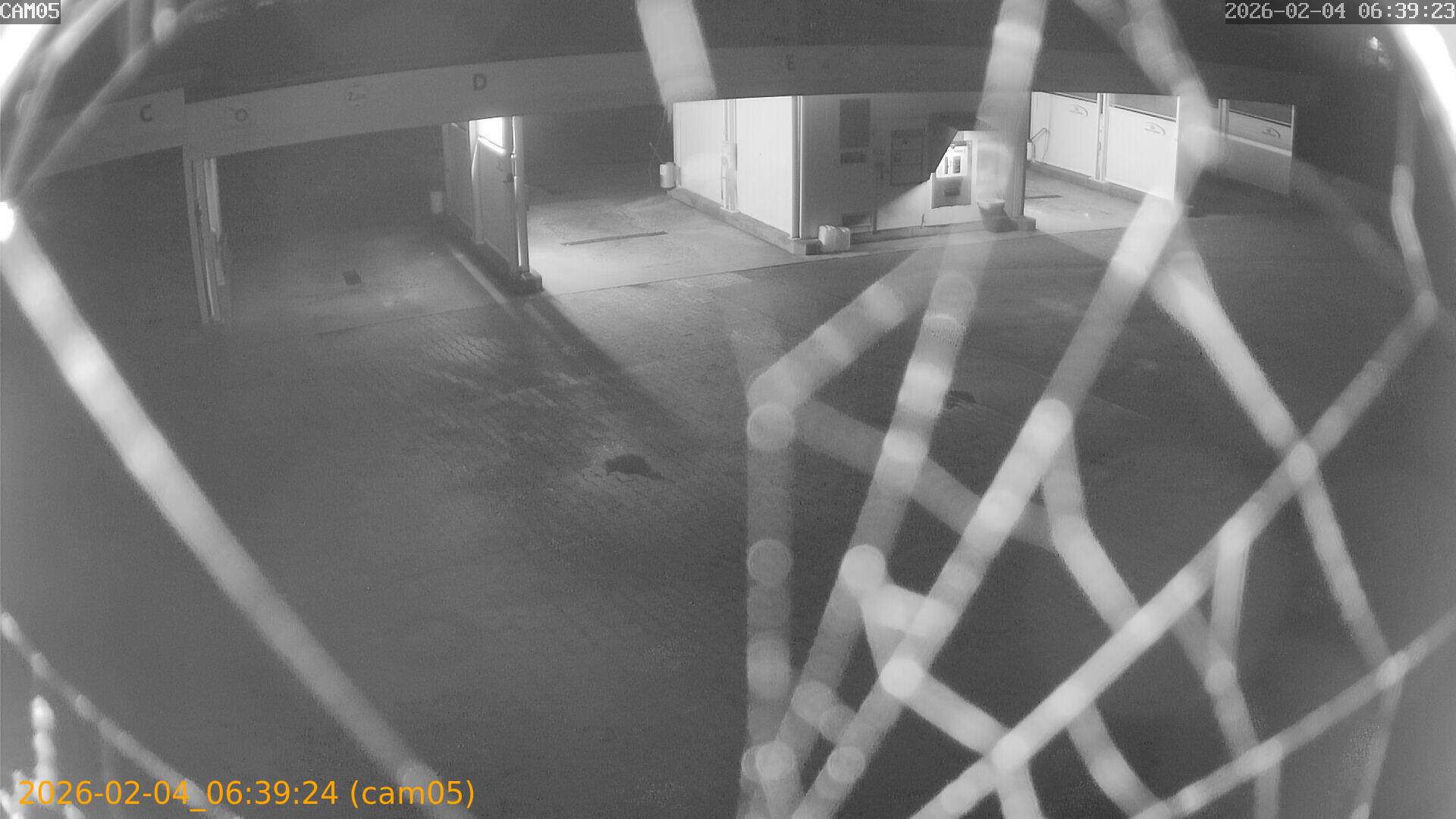 thumbnail_20260204063924