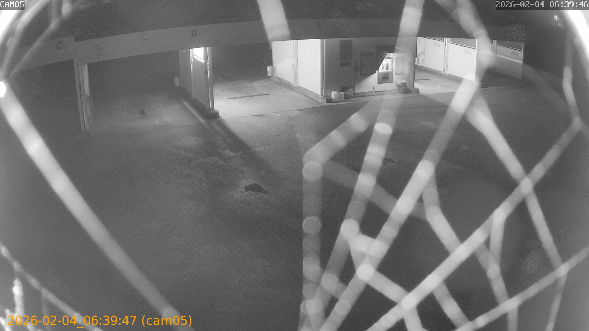 thumbnail_20260204063947