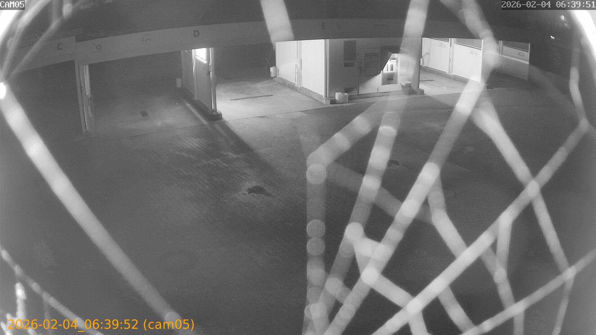 thumbnail_20260204063952