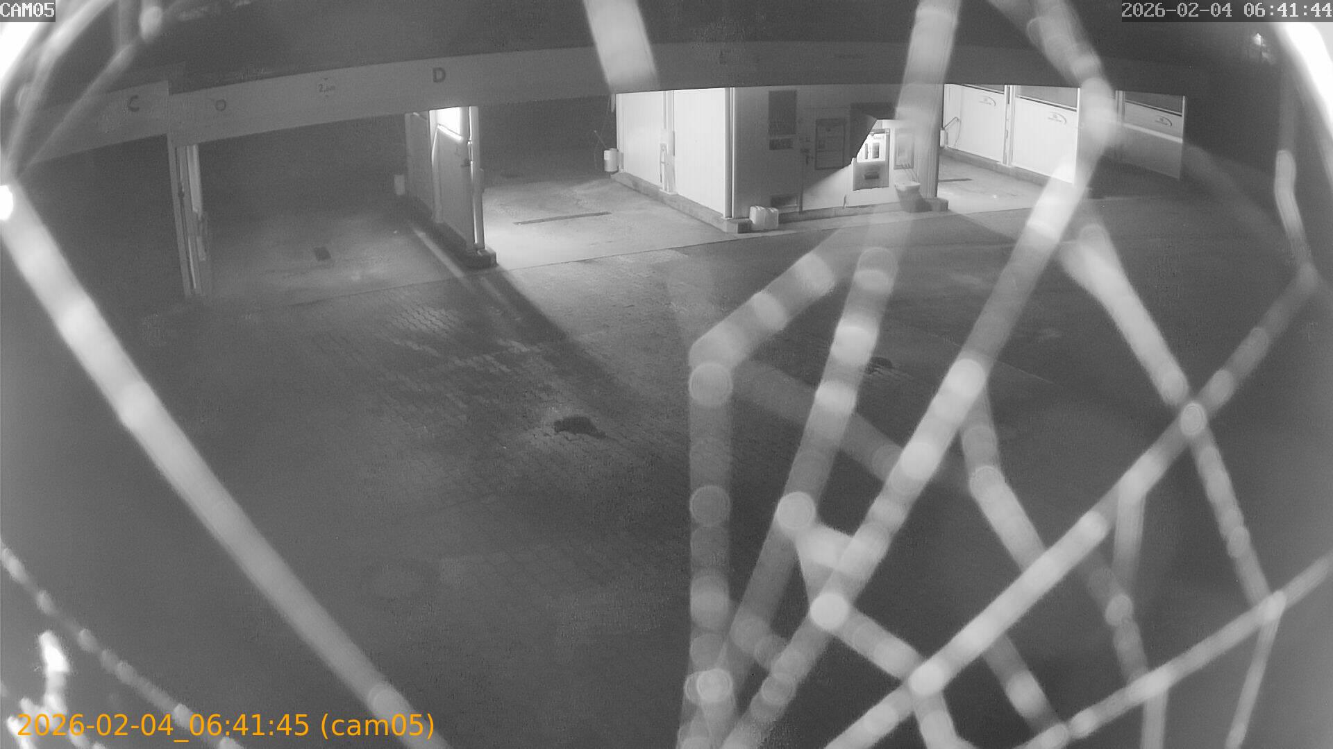 thumbnail_20260204064145