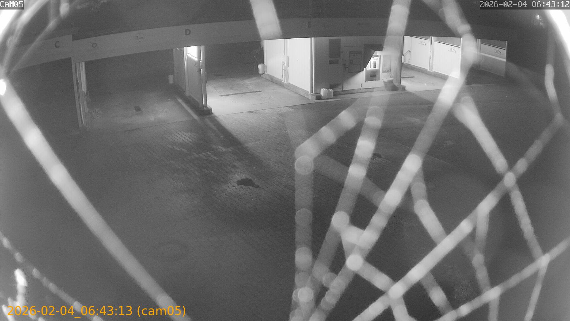 thumbnail_20260204064313