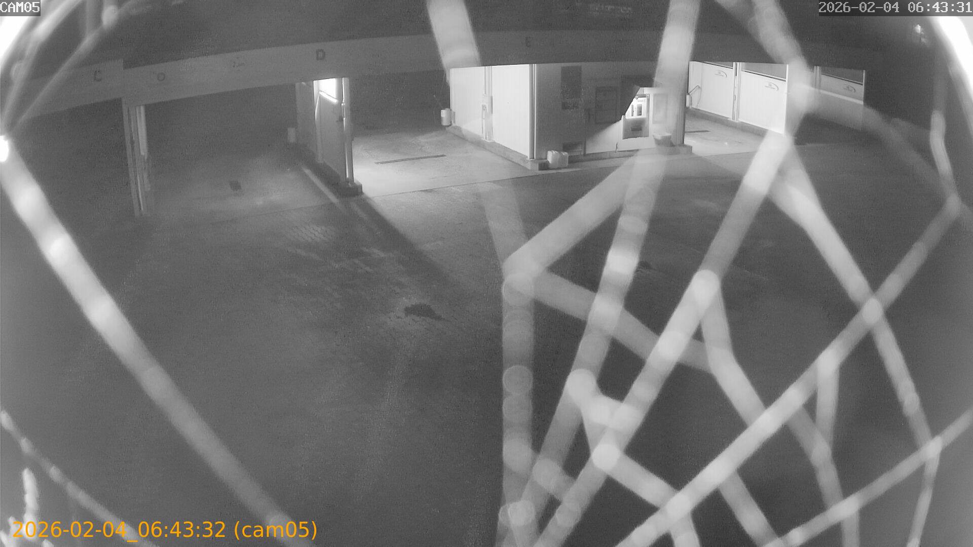 thumbnail_20260204064332