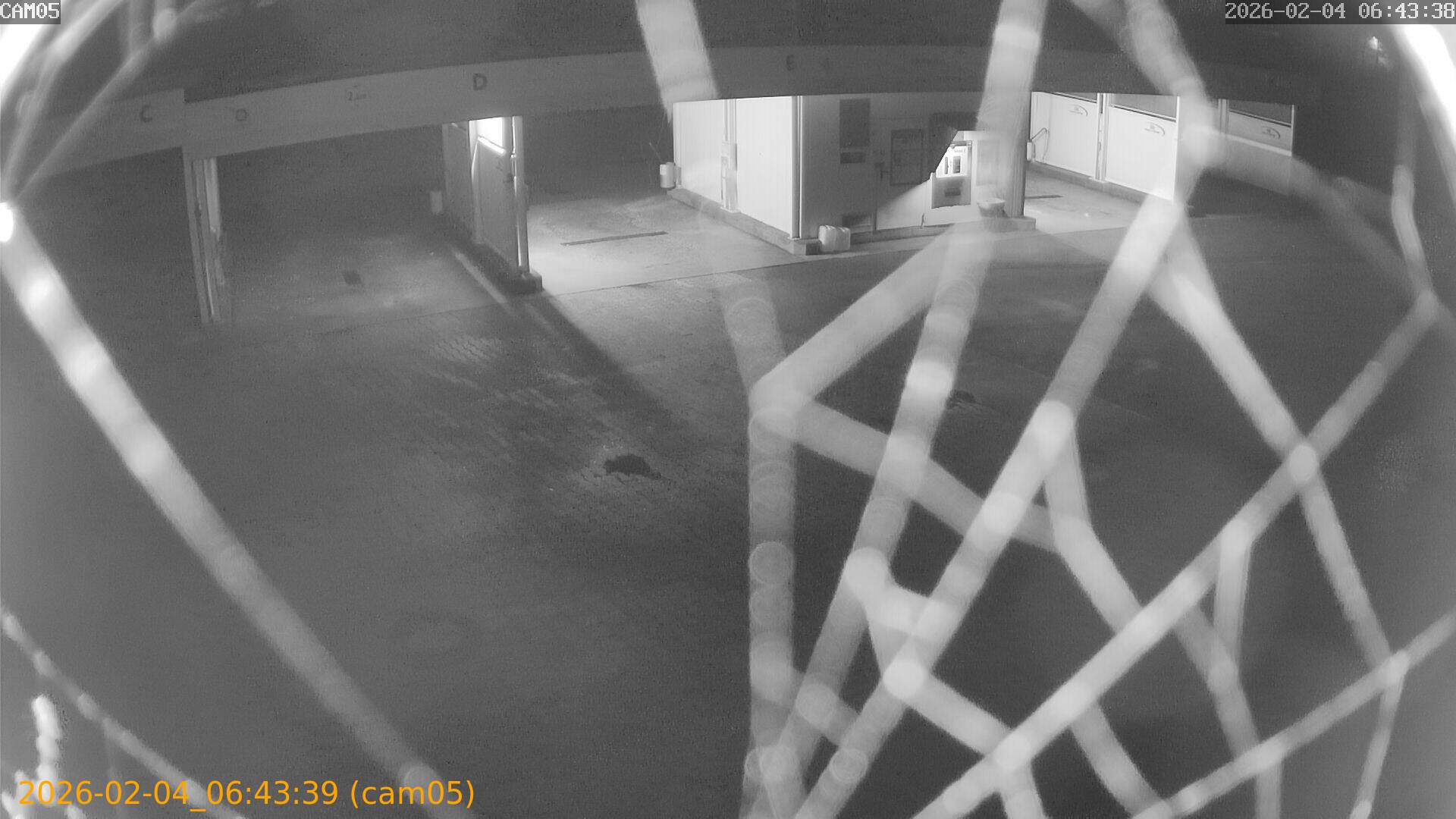 thumbnail_20260204064339