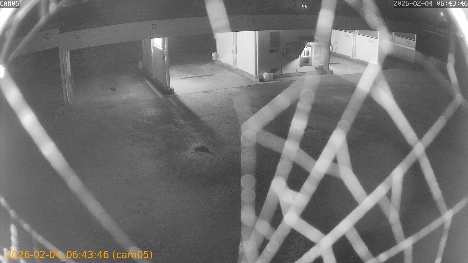 thumbnail_20260204064346