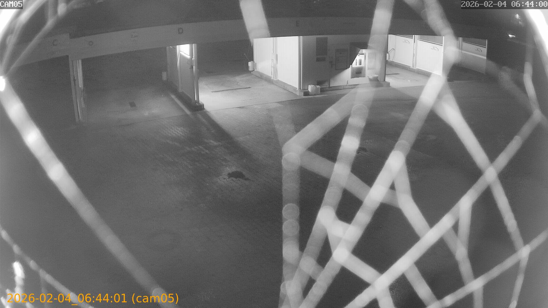 thumbnail_20260204064401